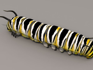 Caterpillar 3D Model