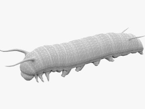 Caterpillar 3D Model