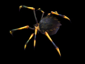 Animated spider 3D Model