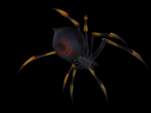 Animated spider 3D Model