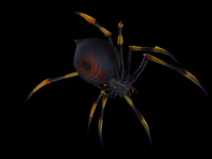 Animated spider 3D Model