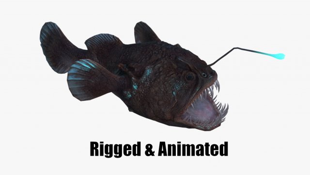 Angler Fish monkfish 3Dモデル .c4d .max .obj .3ds .fbx .stl .blend 