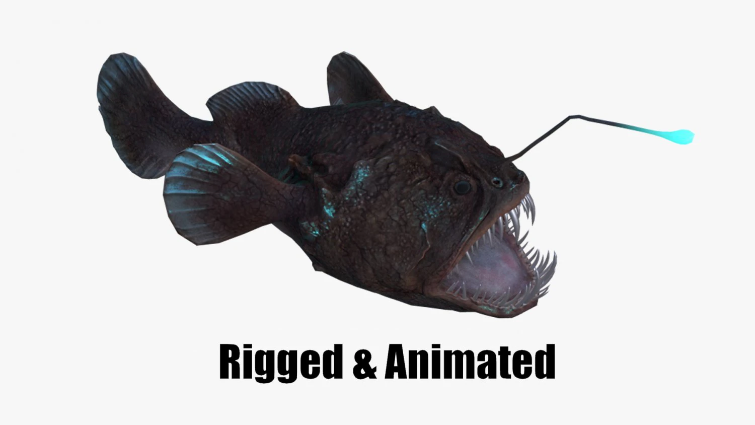 Angler Fish monkfish 3D Model .c4d .max .obj .3ds .fbx .stl .blend 