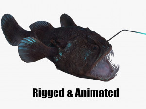 Angler Fish monkfish 3D Model