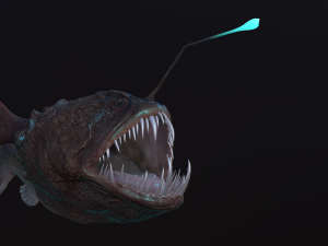 Angler Fish monkfish 3Dモデル