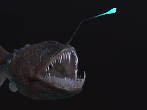 Angler Fish monkfish 3D Model