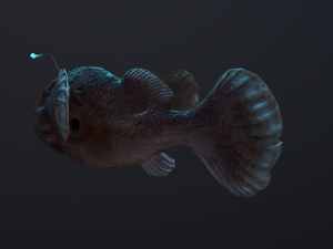 Angler Fish monkfish 3Dモデル