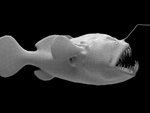 Angler Fish monkfish 3D Model
