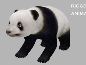 Animated panda Model 3D