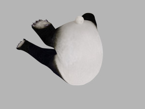 Animated panda Modelo 3D