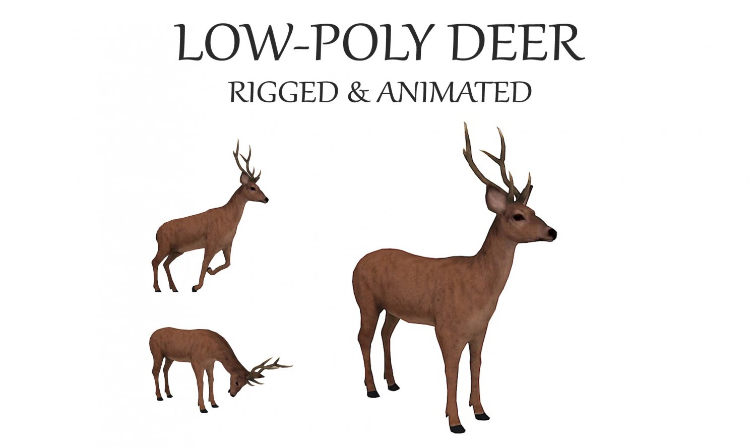 Animated deer stag elk 3D Model .c4d .max .obj .3ds .fbx .stl .blend