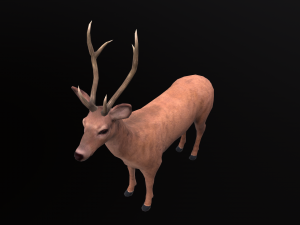 Animated deer stag elk 3Dモデル