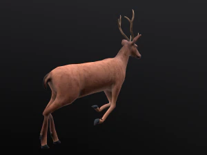 Animated deer stag elk 3D Model