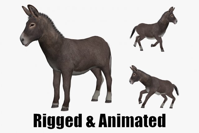 Animated donkey Modèle 3D .c4d .max .obj .3ds .fbx .stl .blend 