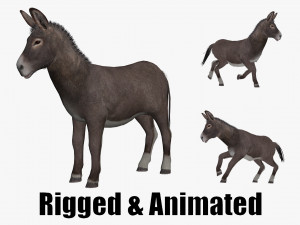 Animated donkey 3Dモデル
