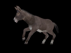 Animated donkey 3D Model