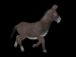 Animated donkey Modèle 3D
