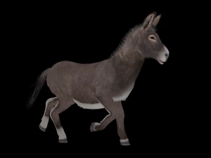 Animated donkey 3D Model