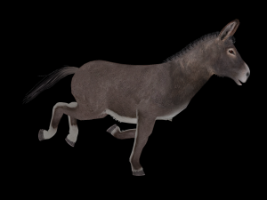 Animated donkey Modèle 3D