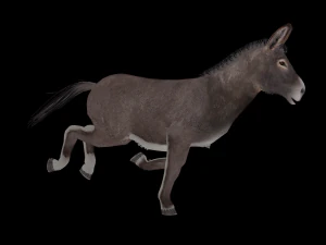 Animated donkey 3D Model