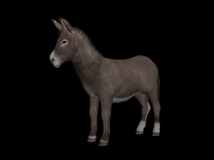 Animated donkey 3D Model