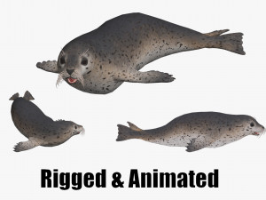 Animated seal sea lion Modello 3D