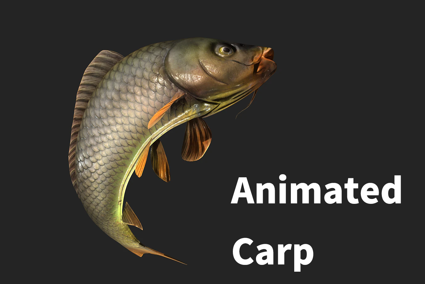 Animated carp fish 3D Model .c4d .max .obj .3ds .fbx .stl .blend 