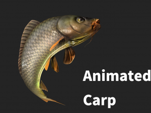 Animated carp fish Modèle 3D