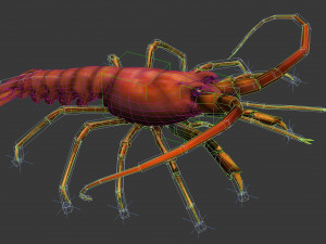 Animated lobster 3D Модель