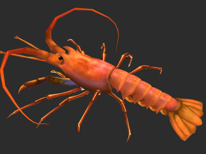 Animated lobster 3D Модель