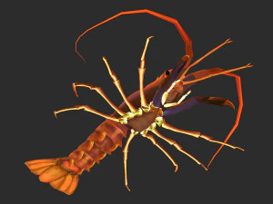 Aragosta animata Modello 3D