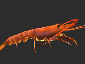 Aragosta animata Modello 3D