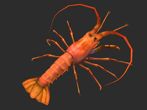 Aragosta animata Modello 3D