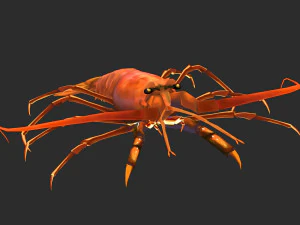 Aragosta animata Modello 3D