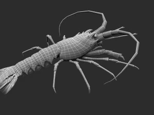 Aragosta animata Modello 3D