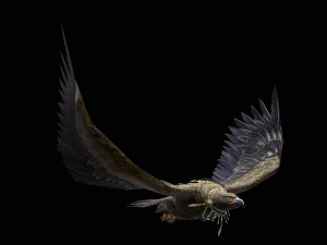 Low-poly animated eagle with necklace 3D 모델