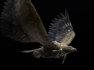 Low-poly animated eagle with necklace 3D Model