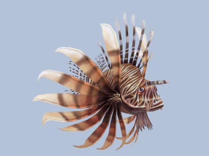 Animated lionfish 3D Model