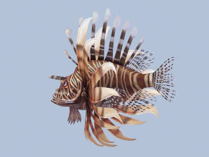 Animated lionfish 3D Model