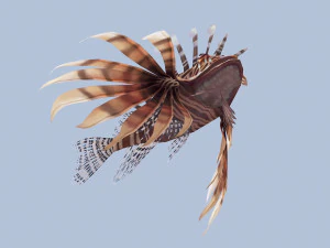 Animated lionfish 3D Model