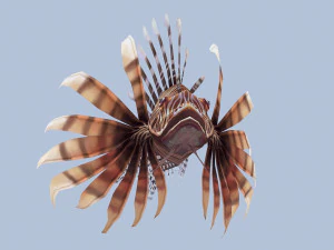 Animated lionfish 3D Model