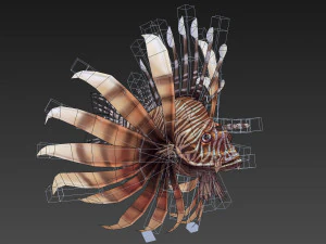 Animated lionfish 3D Model