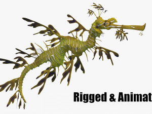 Leafy seadragon Modèle 3D