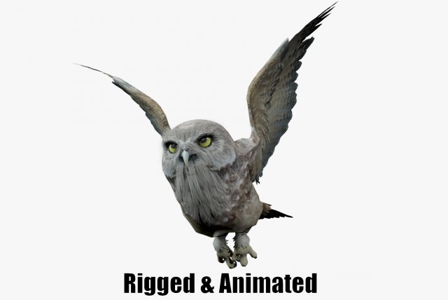 Animated owl Modello 3D .c4d .max .obj .3ds .fbx .stl .blend 