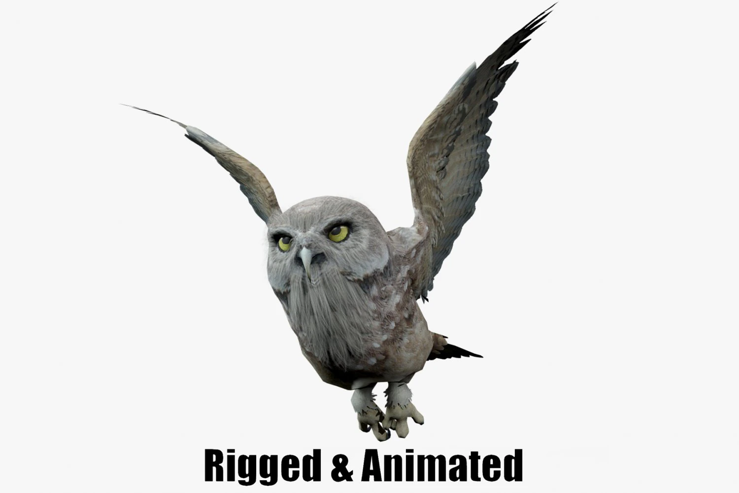 Animated owl 3D Model .c4d .max .obj .3ds .fbx .stl .blend 
