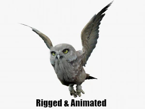 Animated owl 3D Model