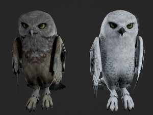 Animated owl Modello 3D