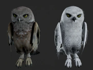 Animated owl 3D Model