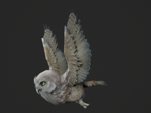 Animated owl Modello 3D