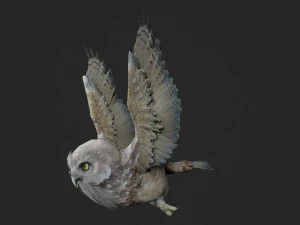 Animated owl 3D Model